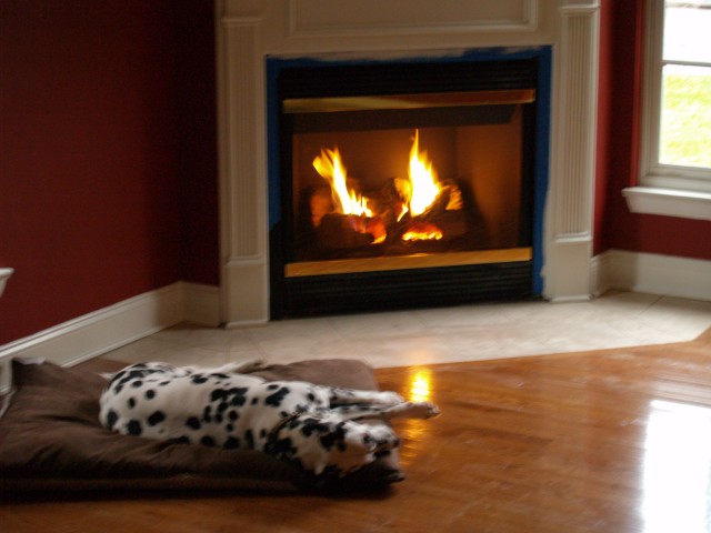 Lucky enjoying the new fire place in the crew room